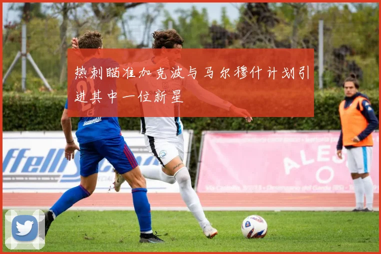 热刺瞄准加克波与马尔穆什计划引进其中一位新星